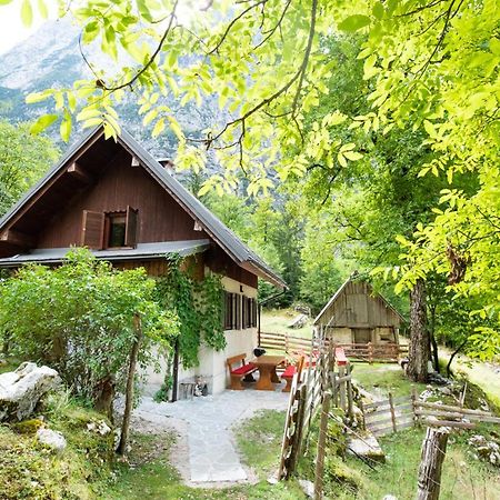 Villa Alpine House Antonia Trenta Exterior foto