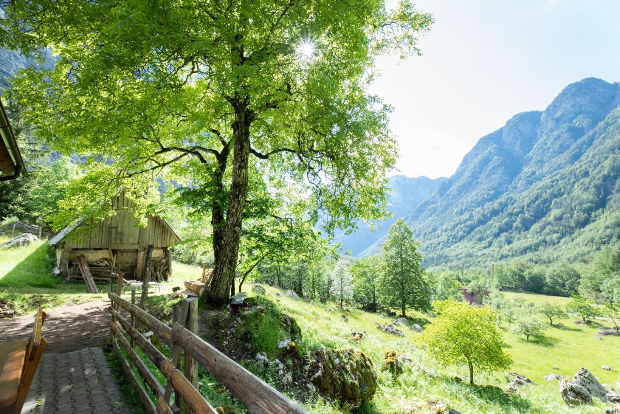 Villa Alpine House Antonia Trenta Exterior foto